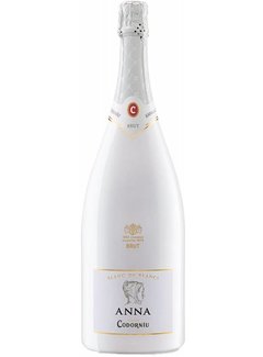 Codorníu Cava Anna de Codorníu Brut Wit Magnum