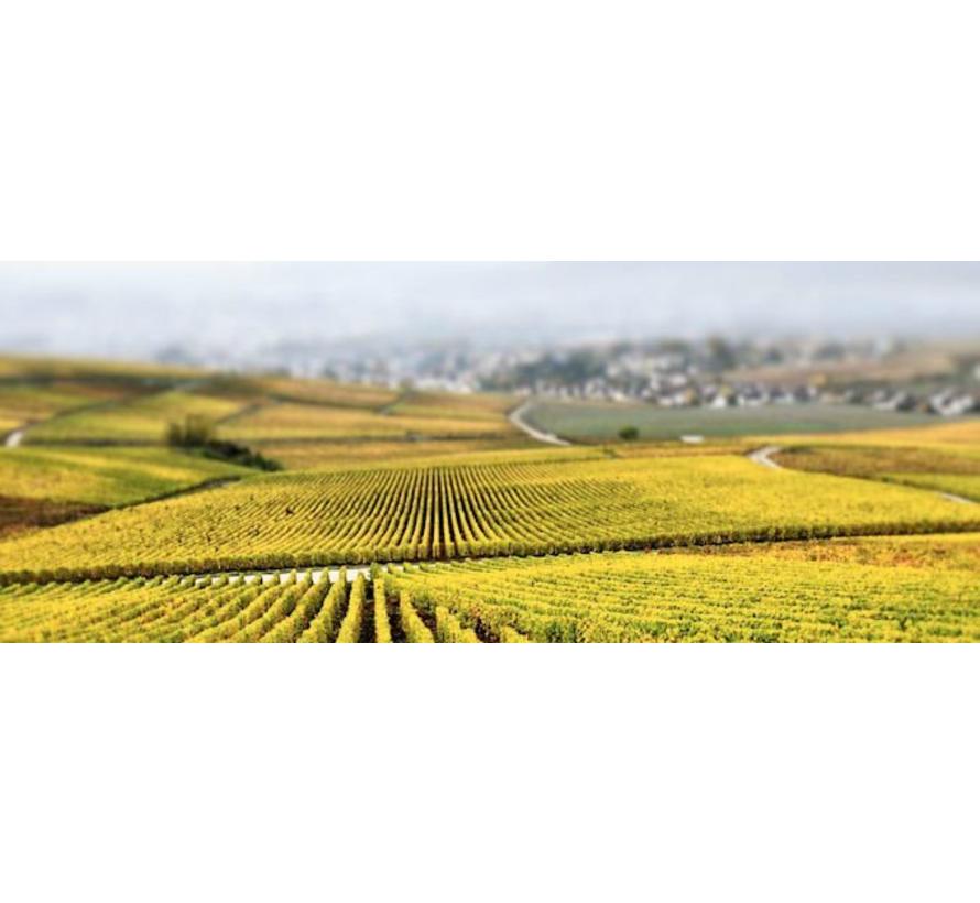 Palmer Brut Réserve Champagne | Half Bottle 37,50 cl