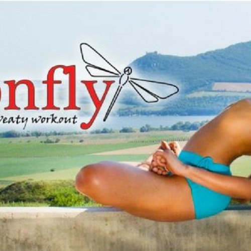 Women's Yoga Shorts for Bikram Hot Yoga – Dragonfly