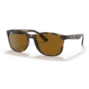 Ray Ban RB4374