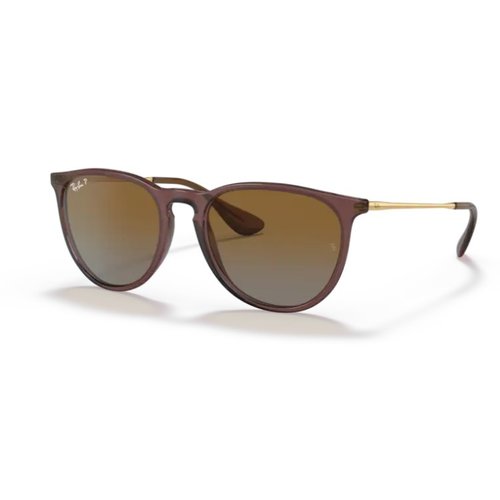 Ray Ban RB4171