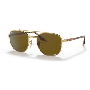 Ray Ban RB3688