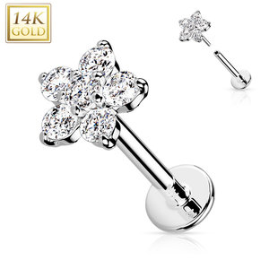 Piercing white gold 14kt