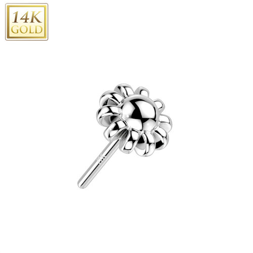 White Gold Flower