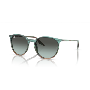 Ray Ban RB2204 1394GK