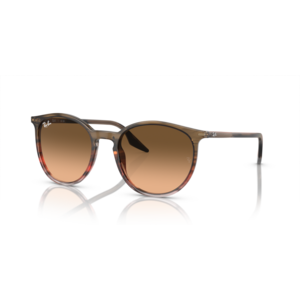 Ray Ban RB2204 1393B Ray Ban RB2204 1393B