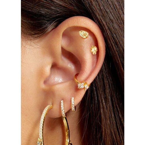 Mya Bay Piercing Palm Mya Bay Piercing Palm