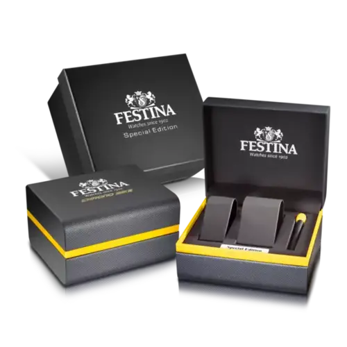 Festina F20673/1