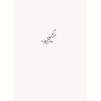 PIERCING - LITTLE SWEETBAY MAGNOLIA