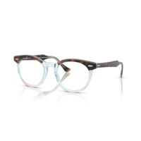 0RX5598 - Eagleeye