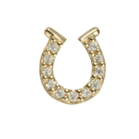 14 Karaats Gouden Hoefijzer Met Zirkonia Threadless