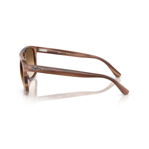 Ray Ban RB2213 Ray Ban RB2213