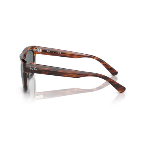 Ray Ban Phil Ray Ban Phil