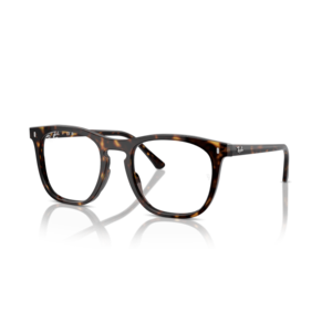 Ray Ban 0RX2210V