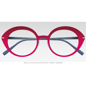 Zenka Clip CIE238 D1GRD - DEGRADE 1 GRENADINE - 13430 Zenka Clip CIE238 D1GRD - DEGRADE 1 GRENADINE - 13430