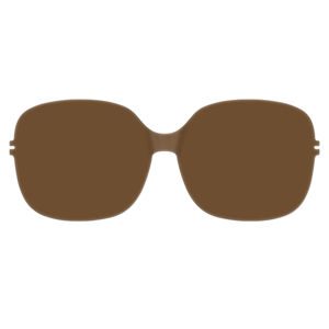 Zenka Clip CIE 2 SOL PB 21-SOLAR POLARIZED BROWN