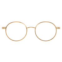 Clip CIE 2 SOL PB 21-SOLAR POLARIZED BROWN - Copy - Copy - Copy - Copy