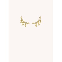 EARRINGS - OLE