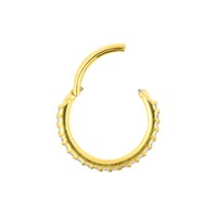 Chirurgisch Stalen Double Click Ring - Zirkonia