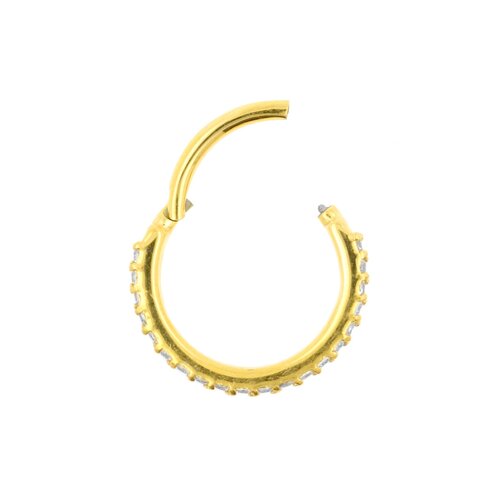 Chirurgisch Stalen Double Click Ring - Zirkonia