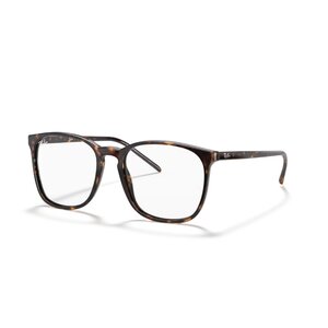 Ray Ban 0RX5387