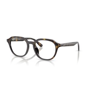 Ray Ban 0RX7259D