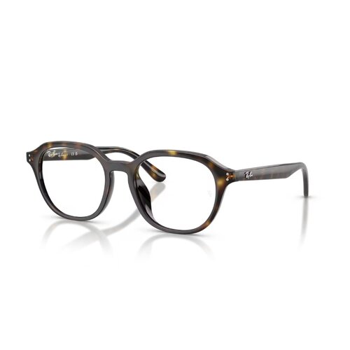 Ray Ban 0RX7259D