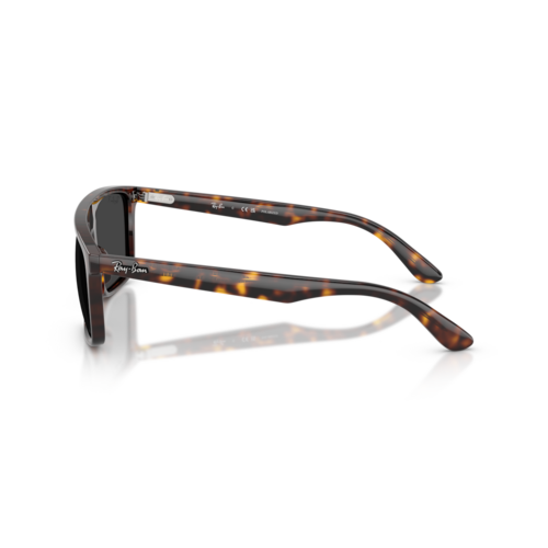 Ray Ban 0RB2222 Ray Ban 0RB2222