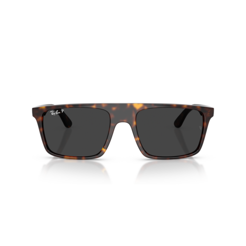 Ray Ban 0RB2222 Ray Ban 0RB2222