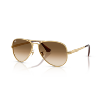 0RB3925 - Aviator max