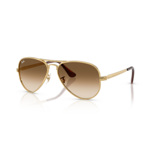 Ray Ban 0RB3925 - Aviator max Ray Ban 0RB3925 - Aviator max