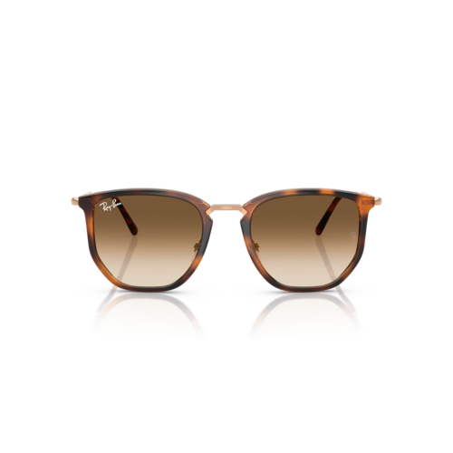 Ray Ban 0RB4451 Ray Ban 0RB4451