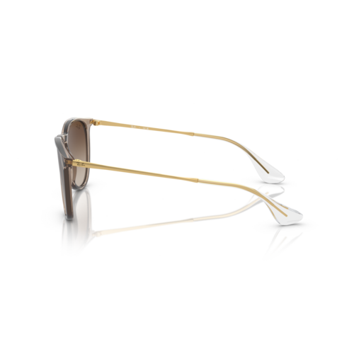 Ray Ban 0RB4171 - Erika