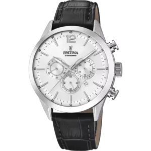 Festina F20542/1