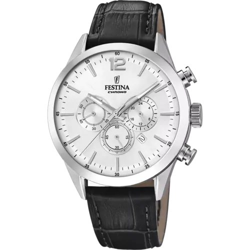 Festina F20542/1