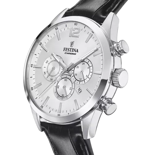 Festina F20542/1