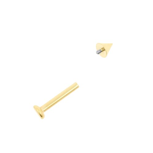 Titanium Flatback Stud With Spike Gold