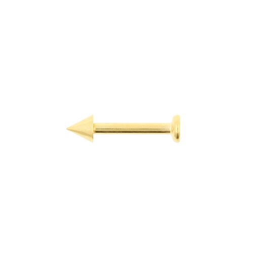 Titanium Flatback Stud With Spike Gold