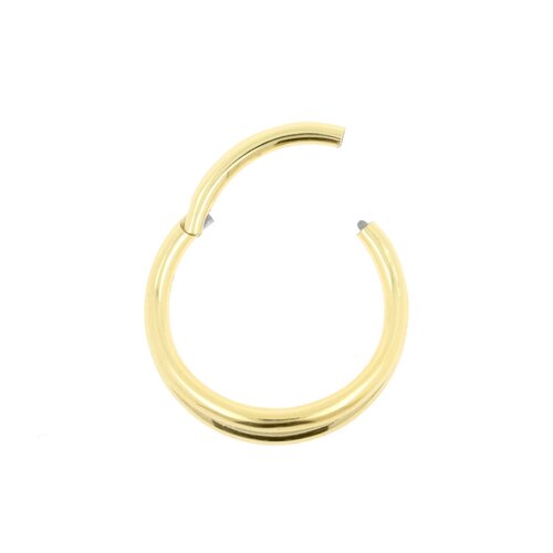 Nickel-Free Steel Click Ring – Double Hoop Gold