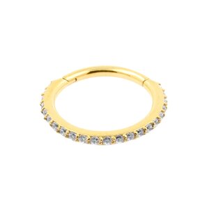 Surgical Steel Click Ring with Zirconia – Gold