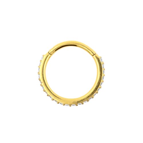 Surgical Steel Click Ring with Zirconia – Gold