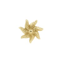14 Karaats Gouden Zon
