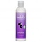 Camille Rose Camille Rose - Leave-in conditioner - Hydrateert en verzacht droog haar - Biedt extra slip voor makkelijk ontwarren - Lavendelolie en rozemarijnextract