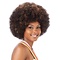 Equal Equal AFRO WIG(M)