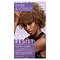 Dark and Lovely® Dark & Lovely Fade Resist CHESTNUT BLONDE (380)