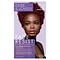 Dark and Lovely® Dark & Lovely Fade Resist BERRY BURGUNDY (326)