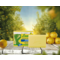 A3 Cosmetics A3 Lemon Dermo-Purifying Soap (100g)
