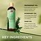 African Pride African Pride Feel It Formula Strengthening Shampoo (354ml)