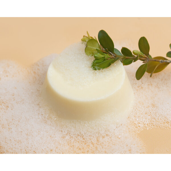Curly Secret Curly Secret Conditioner Bar – Hydraterende & Milieuvriendelijke Conditioner in Blokvorm (60g)