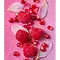 EOS – Evolution of Smooth EOS Shea Better 24H Moisture Body Lotion Pomegranate Raspberry – Hydrating Body Lotion with Shea Butter & 7 Nourishing Oils (473ml)